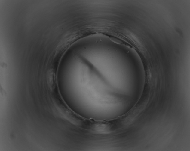 X0000090980169200708021506