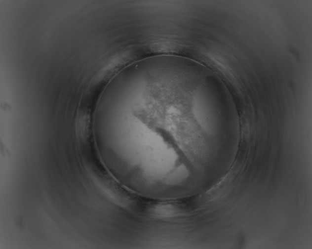 X0000090980171200708021506