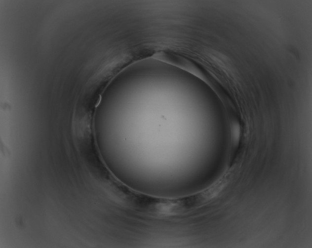X0000090980172200708021506