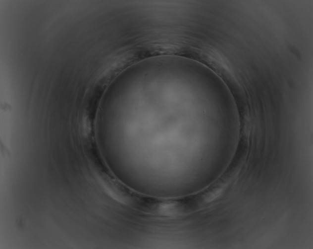 X0000090980173200708021506