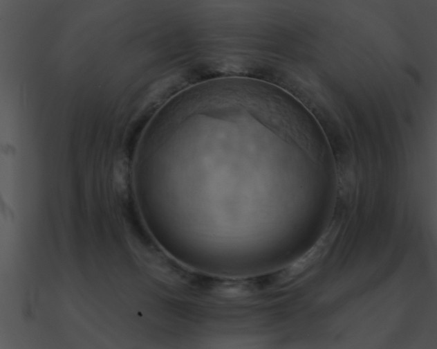 X0000090980175200708021506