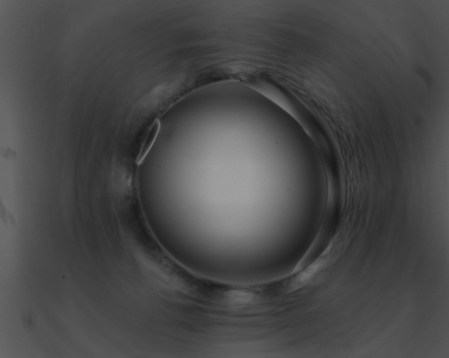 X0000090980176200708021506