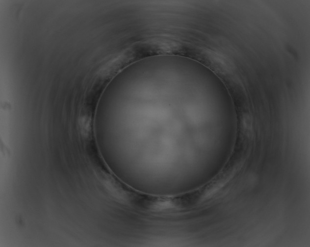 X0000090980177200708021506