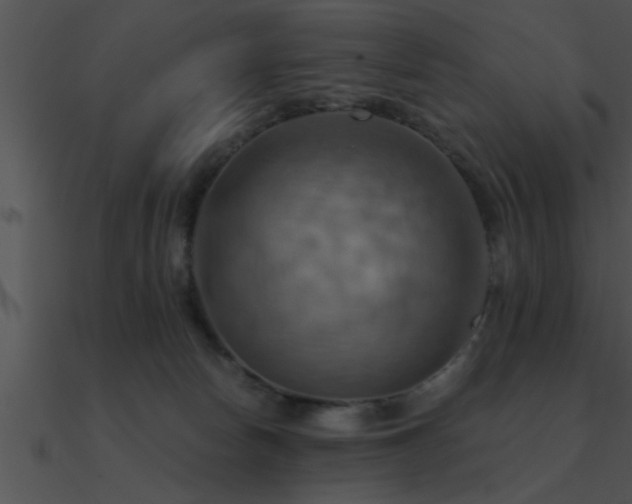X0000090980178200708021506