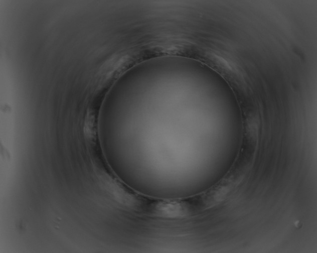 X0000090980181200708021506
