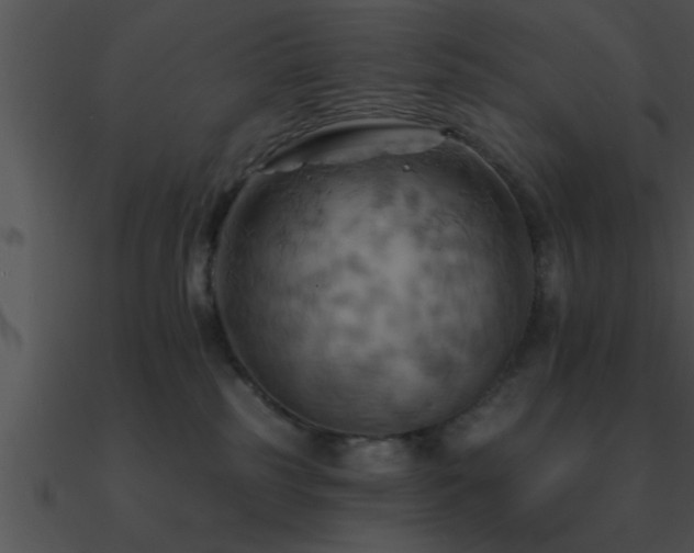 X0000090980185200708021506
