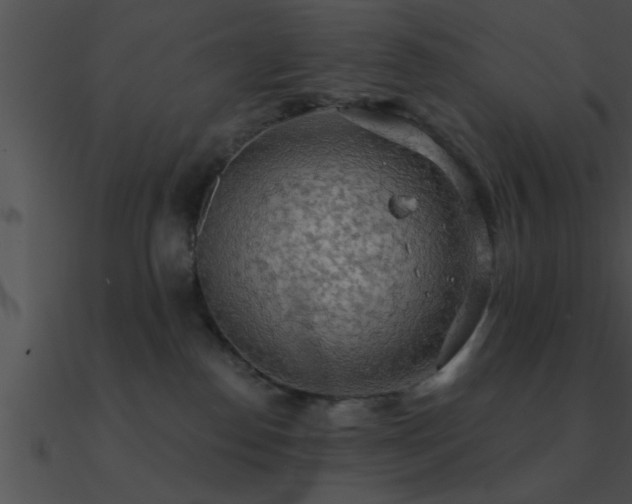 X0000090980186200708021506