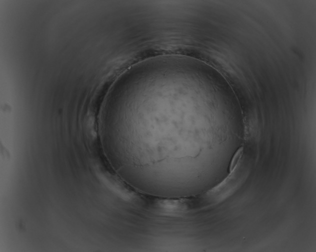 X0000090980187200708021506