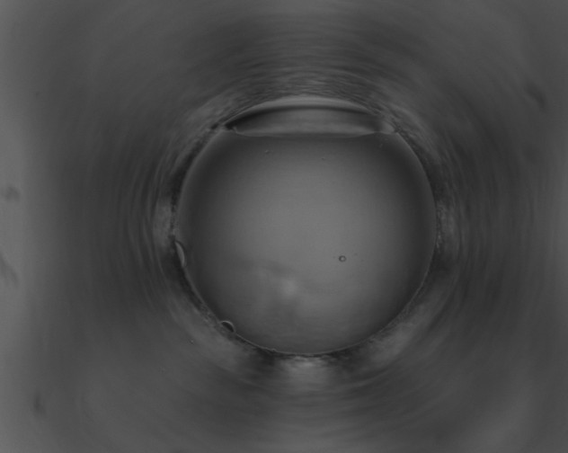 X0000090980189200708021506