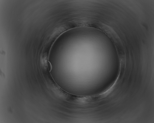 X0000090980190200708021506