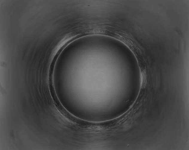 X0000090980195200708021506