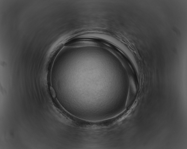 X0000090980197200708021506