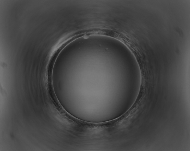X0000090980198200708021506