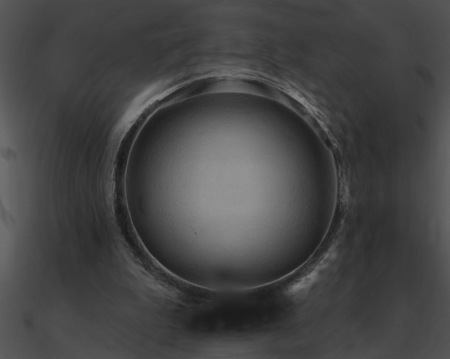 X0000090980199200708021506