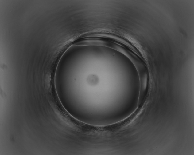 X0000090980201200708021506