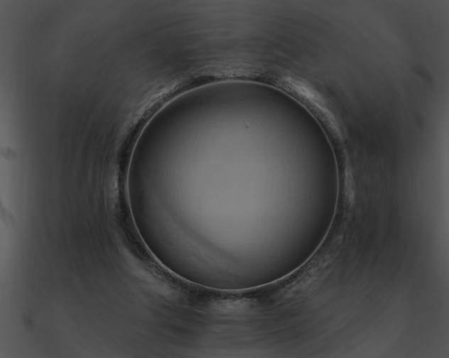 X0000090980202200708021506