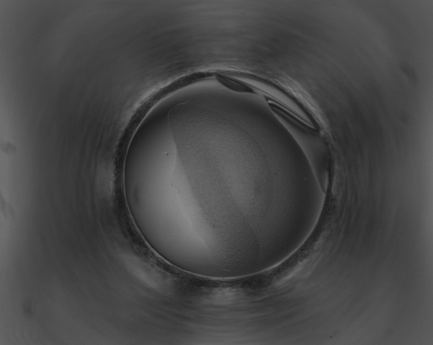 X0000090980204200708021506