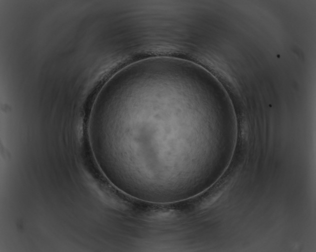 X0000090980206200708021506