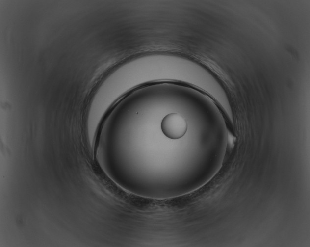 X0000090980207200708021506