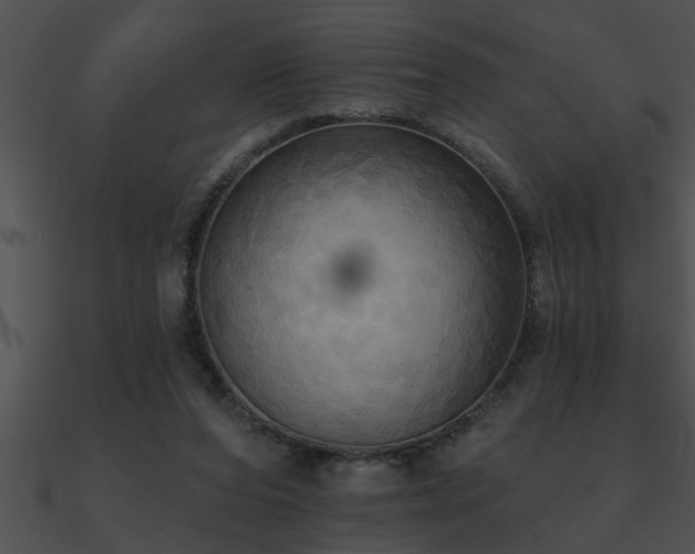 X0000090980208200708021506