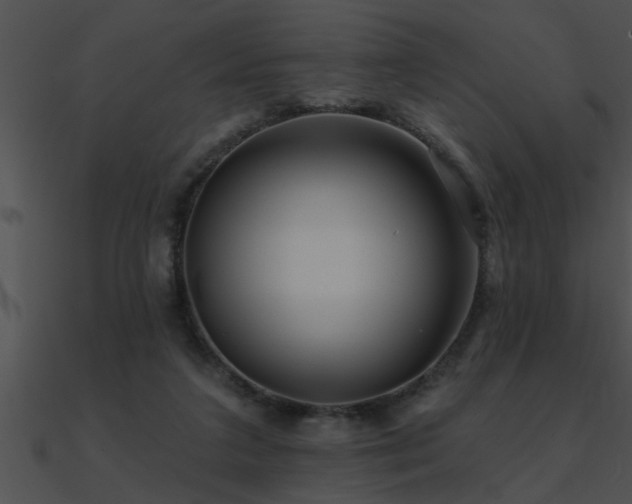 X0000090980211200708021505