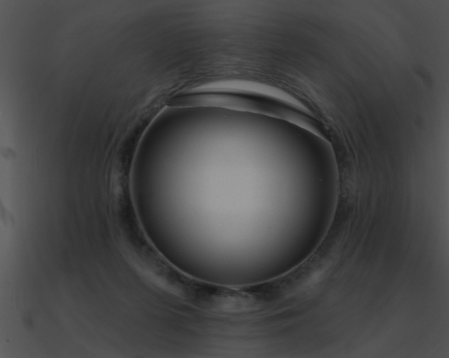 X0000090980215200708021505