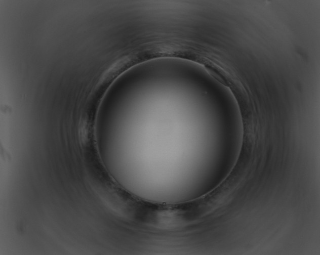 X0000090980216200708021505