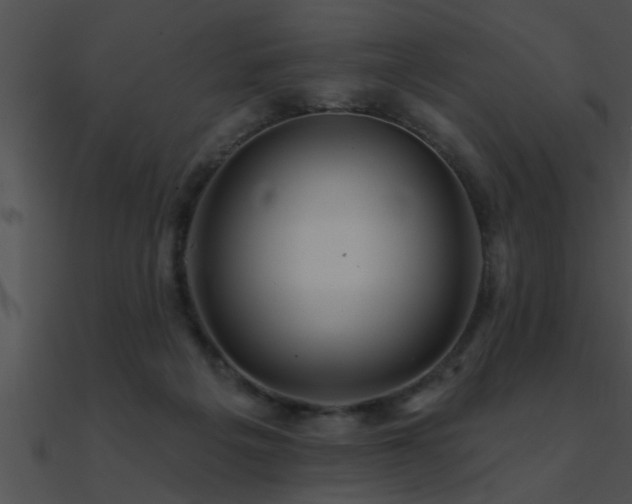 X0000090980217200708021505