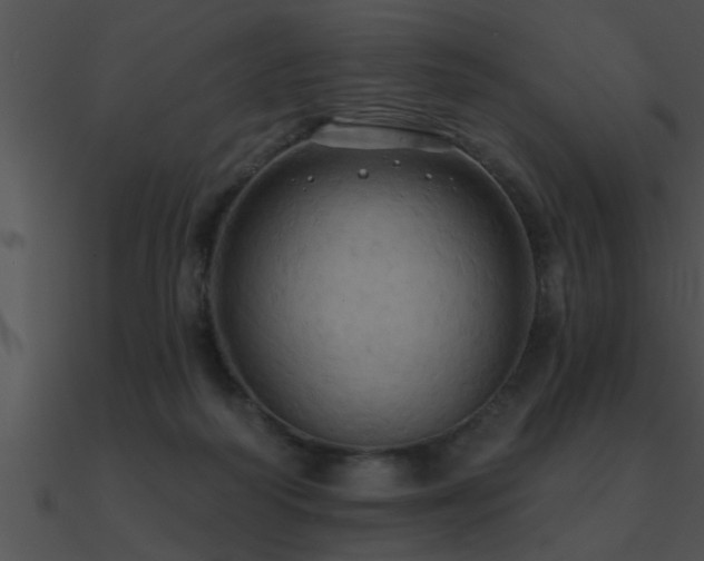 X0000090980218200708021505