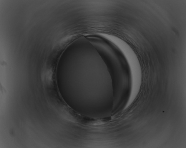 X0000090980219200708021505