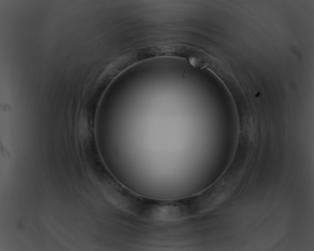 X0000090980220200708021505