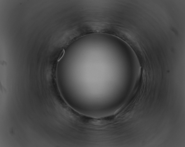 X0000090980221200708021505