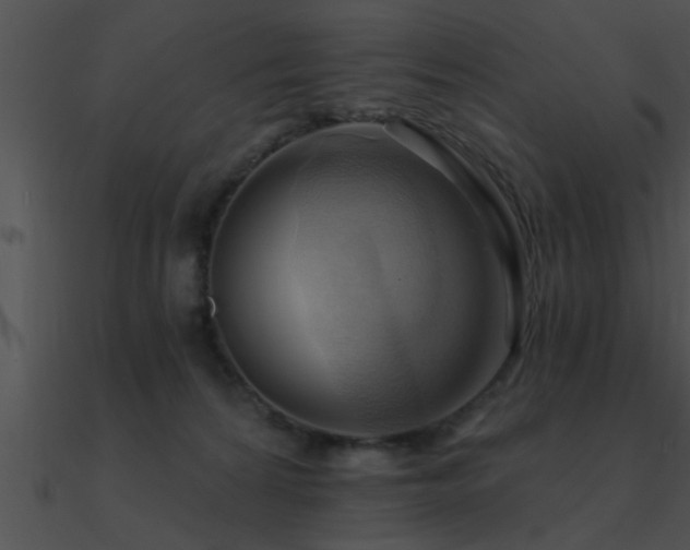 X0000090980224200708021505