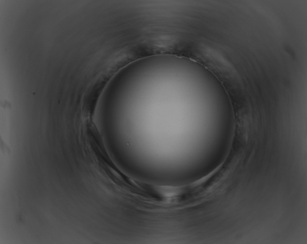 X0000090980225200708021505