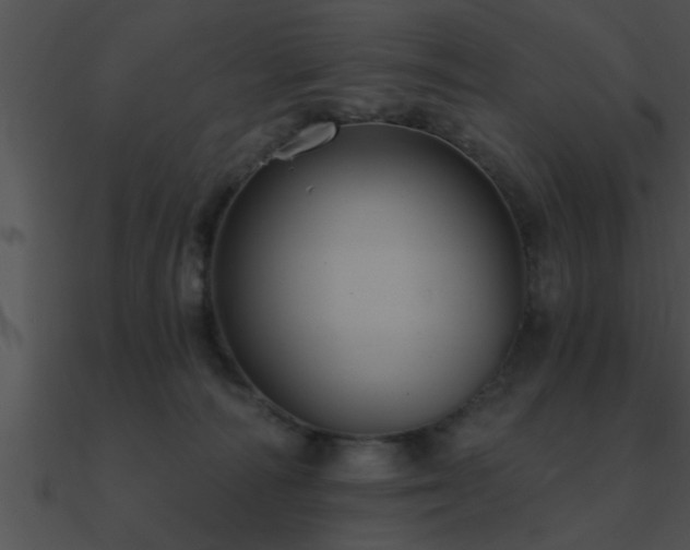 X0000090980226200708021505