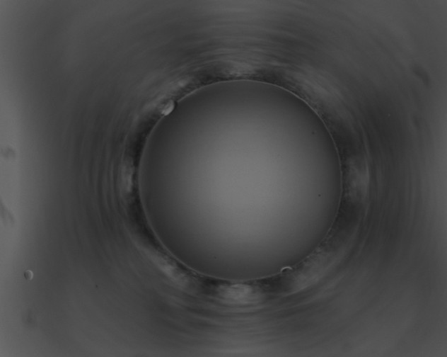 X0000090980230200708021505