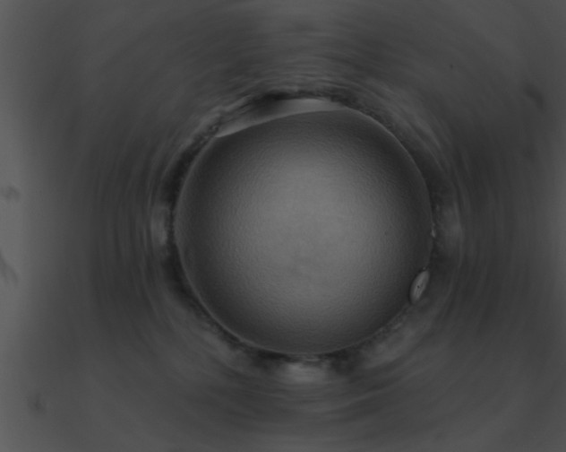 X0000090980232200708021505