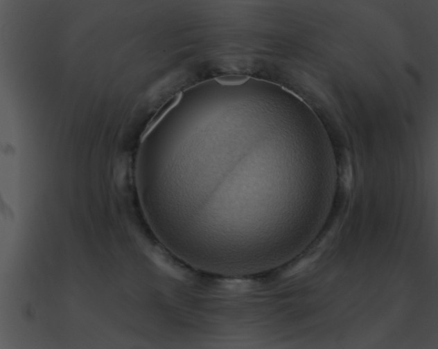 X0000090980233200708021505