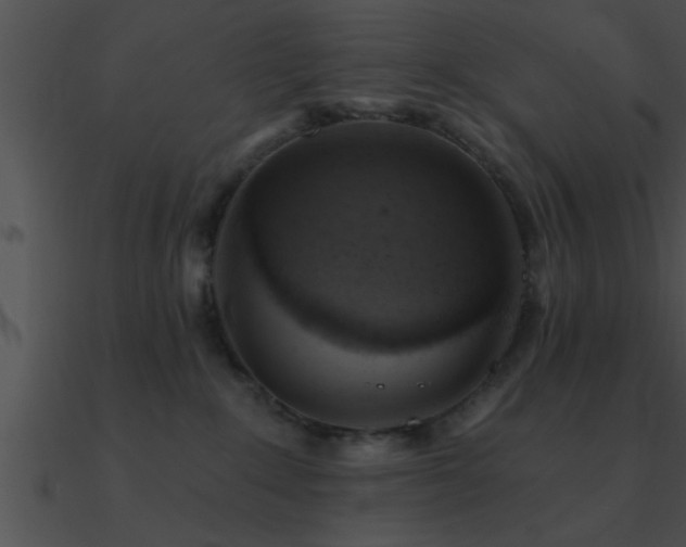 X0000090980235200708021505