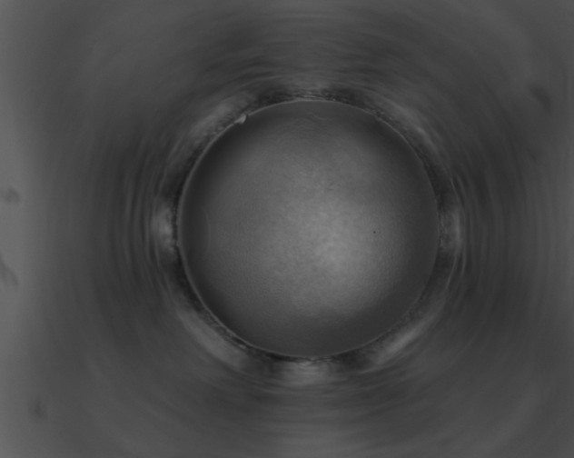 X0000090980238200708021505