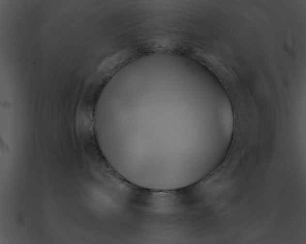 X0000090980240200708021505