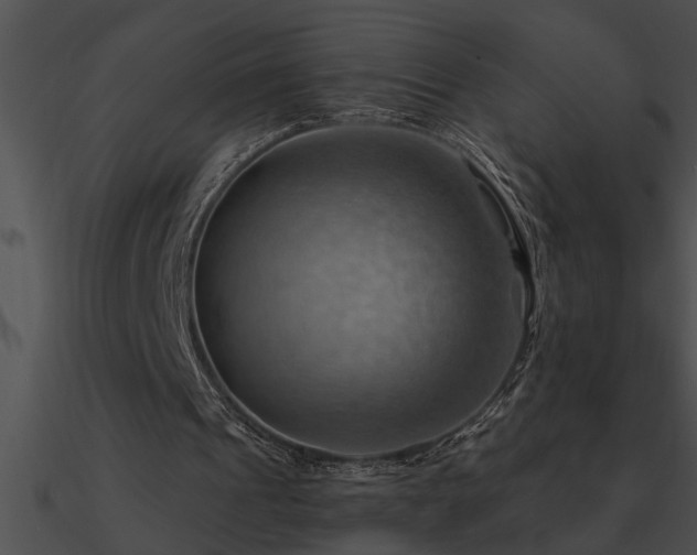 X0000090980241200708021504