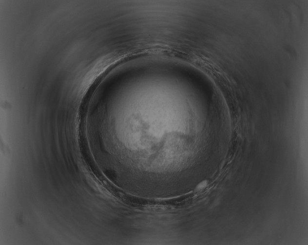 X0000090980242200708021504