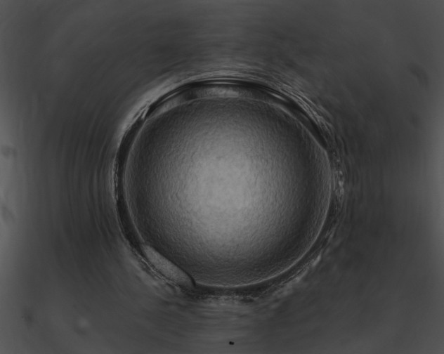 X0000090980244200708021505