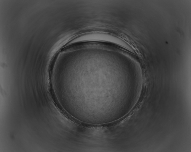 X0000090980245200708021505