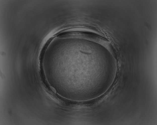 X0000090980246200708021505