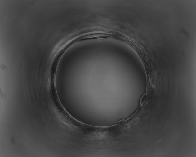 X0000090980247200708021505