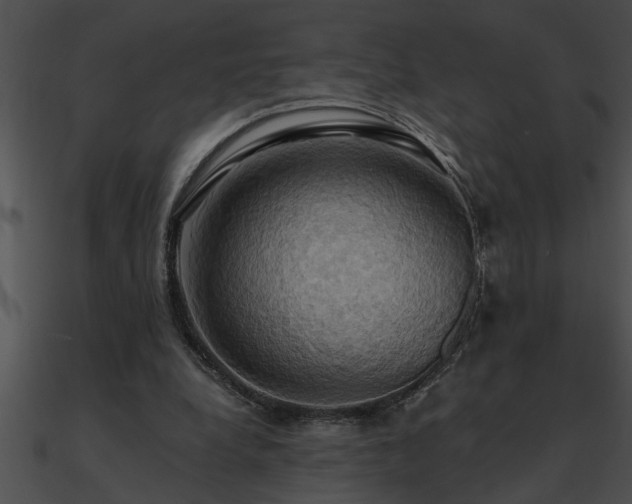 X0000090980248200708021505