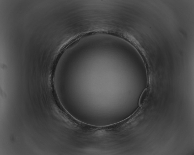 X0000090980249200708021505
