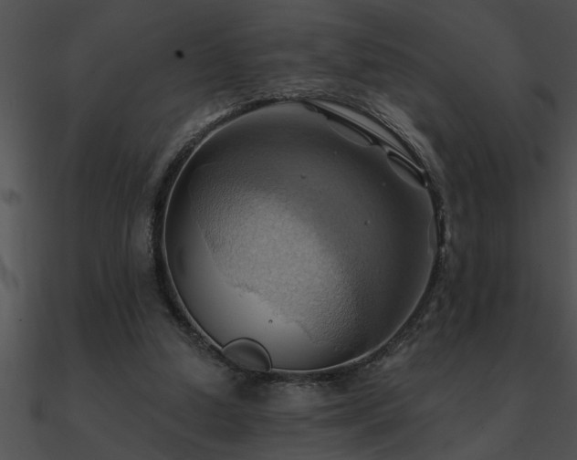 X0000090980250200708021505